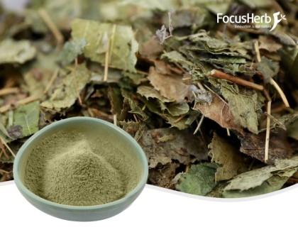Organic Epimedium Powder