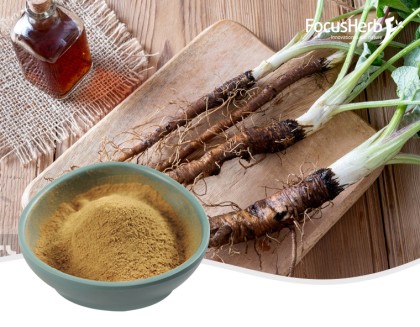 Organic Burdock Root Powder