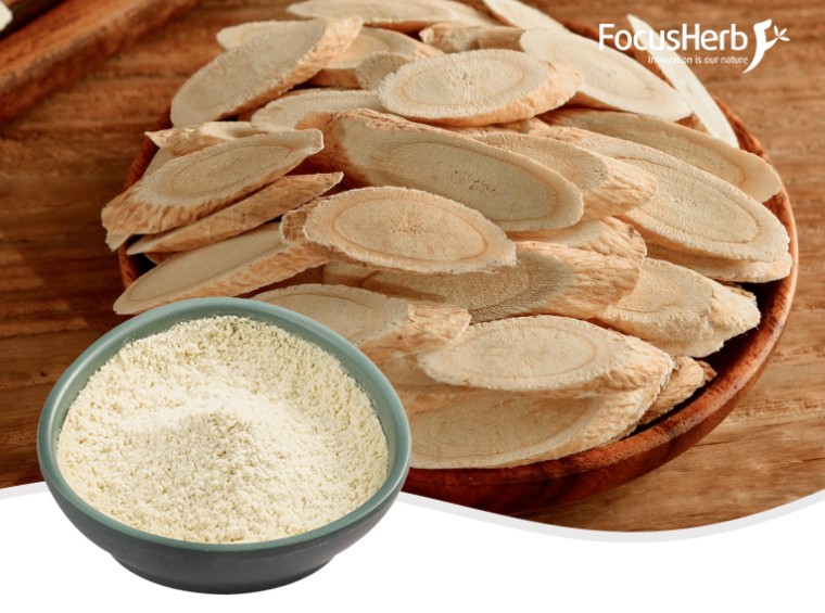 Organic Astragalus Powder