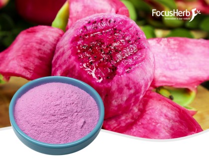 Red dragon fruit powder