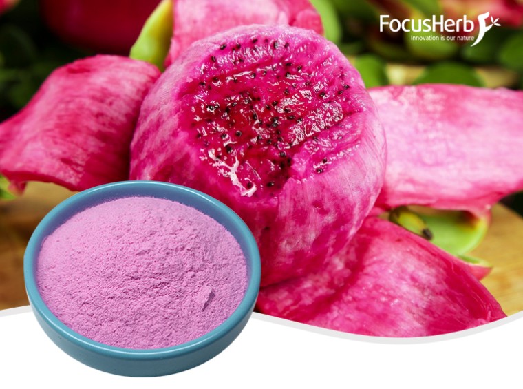 Red dragon fruit powder