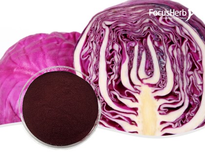 Red Cabbage