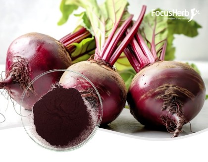 Beetroot Red