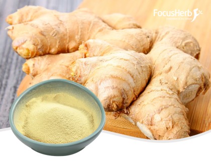 Ginger Powder