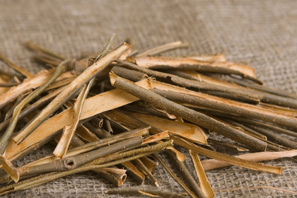 White Willow Bark Extract