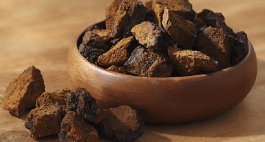 Chaga Mushroom Extract