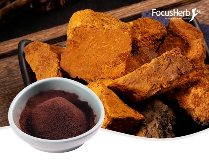 Chaga Mushroom Extract