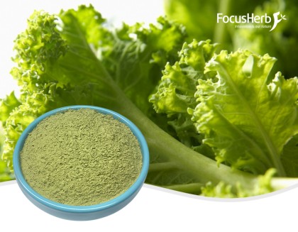 Kale Powder