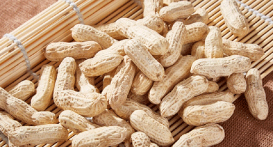 Peanut Shell Extract