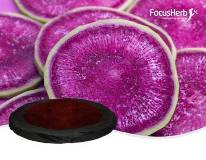 Radish Red