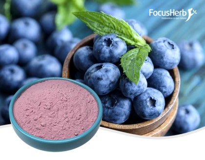 Organic Blueberry Powder