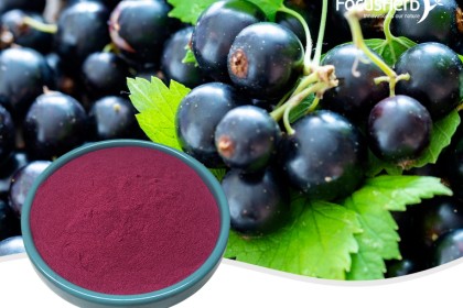 Black currant powder