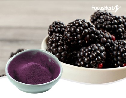 Blackberry powder