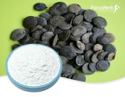 Griffonia Seed Extract 5HTP