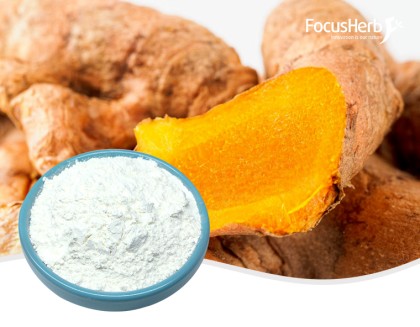 Tetrahydrocurcumin Powder