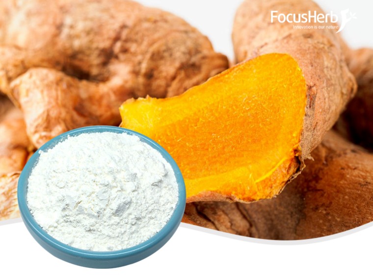 Tetrahydrocurcumin Powder