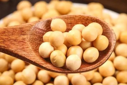 Soybean Extract Phosphatidylserine