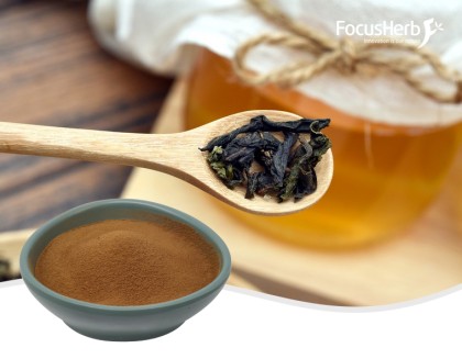 Kombucha Tea powder