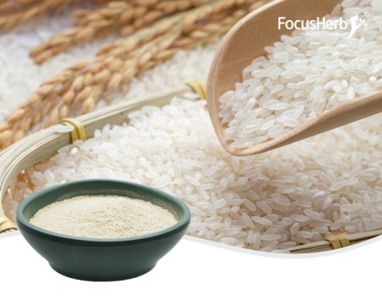 Organic Brown Rice Protein