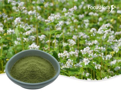 Organic Buckwheat Powder