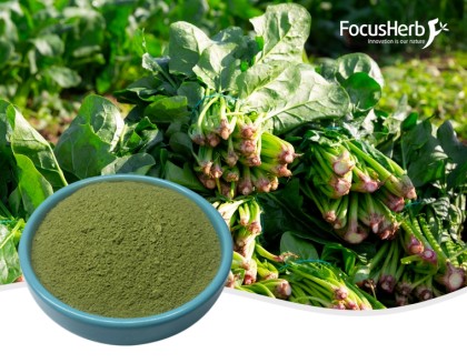 Organic Spinach Powder