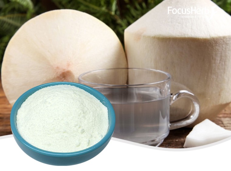 Coconut Powder