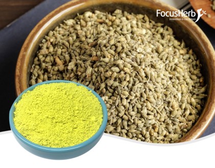 Quercetin