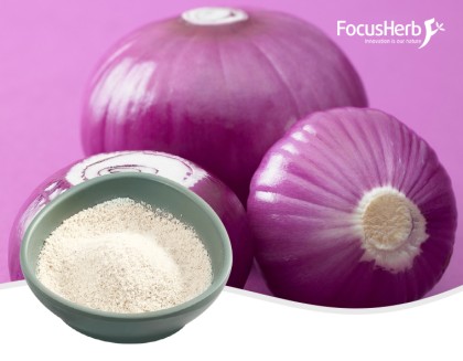 Onion Powder