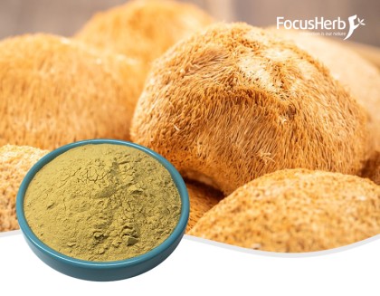 Lions Mane Extract Beta-glucan