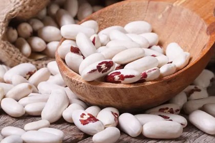 White Kidney Bean Extract