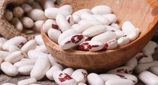 White Kidney Bean Extract