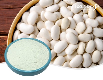 White Kidney Bean Extract