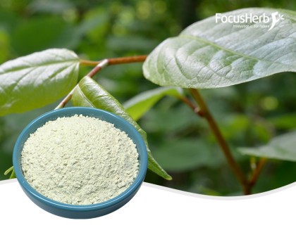 Resveratrol