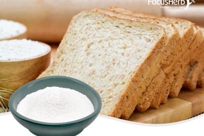 Alkaline Protease