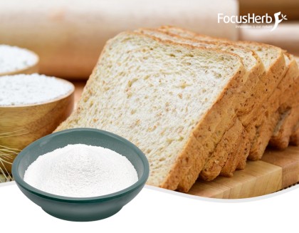 Alkaline Protease