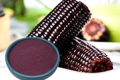 Purple Corn Extract