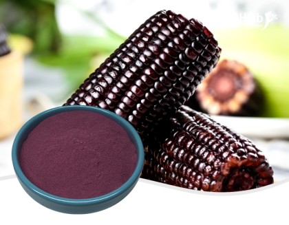 Purple Corn Extract