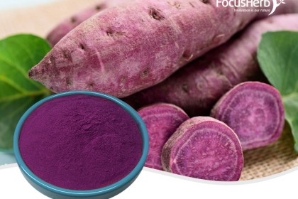 Purple potato powder