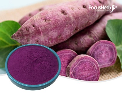 Purple potato powder