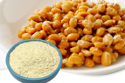 Nattokinase