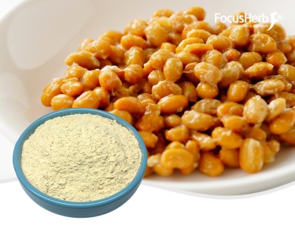 Nattokinase