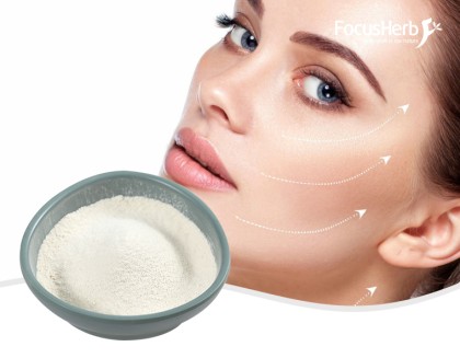Fish Collagen