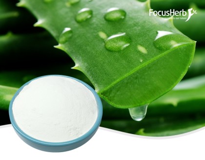 Aloe Gel Freeze Dried Powder