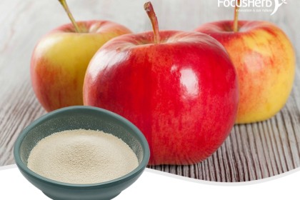 Apple Pectin