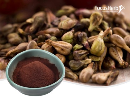 Grape Seed Extract