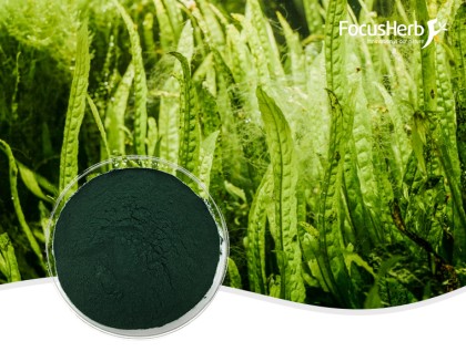 Organic Spirulina Powder