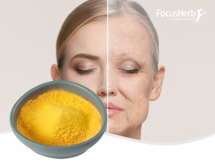 Coenzyme Q10 Powder