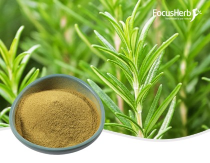 Carnosic Acid