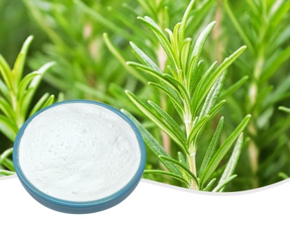 Ursolic Acid Powder