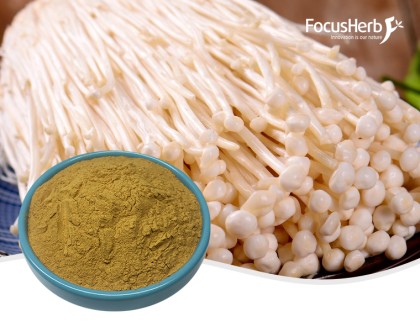 Enoki Mushroom Extract